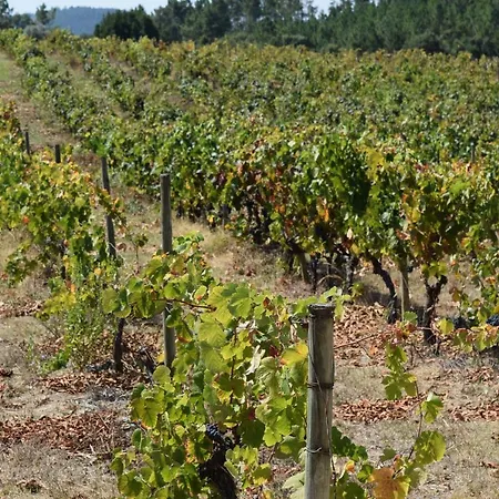 Pensión Quinta do Condestável *