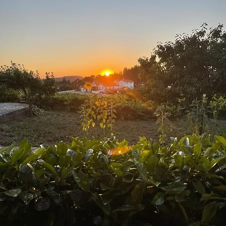 Quinta do Condestável *